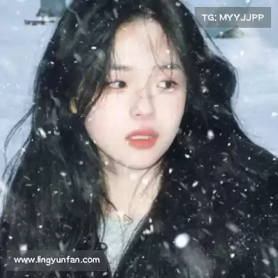 薄霜凤